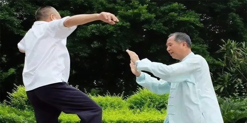 Tai Chi Fa Jin