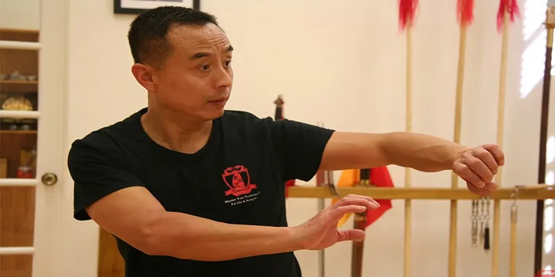 Fanzi Quan (Tumbling Boxing)