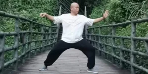 Introduction to Tai Chi Instructor Shen Jiangfei