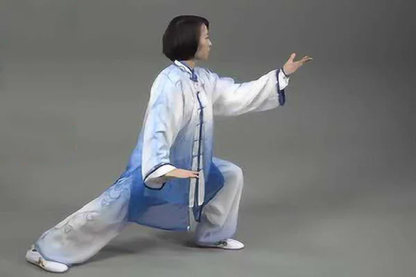 Parting the Wild Horse's Mane (Yě Mǎ Fēn Zōng)