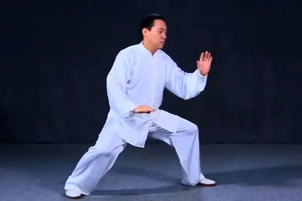 Repulse the Monkey (Dào Juǎn Gōng)