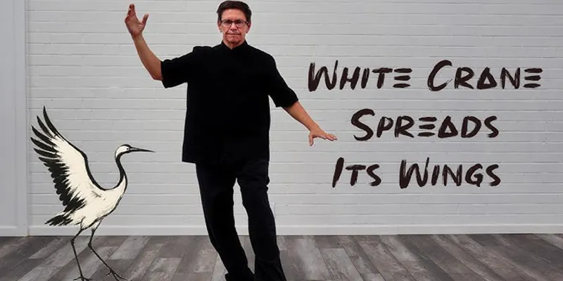 Bai He Liang Chi (White Crane Spreads Wings)
