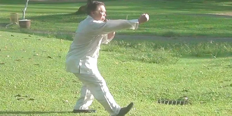 Swing Fist (Bai Quan)