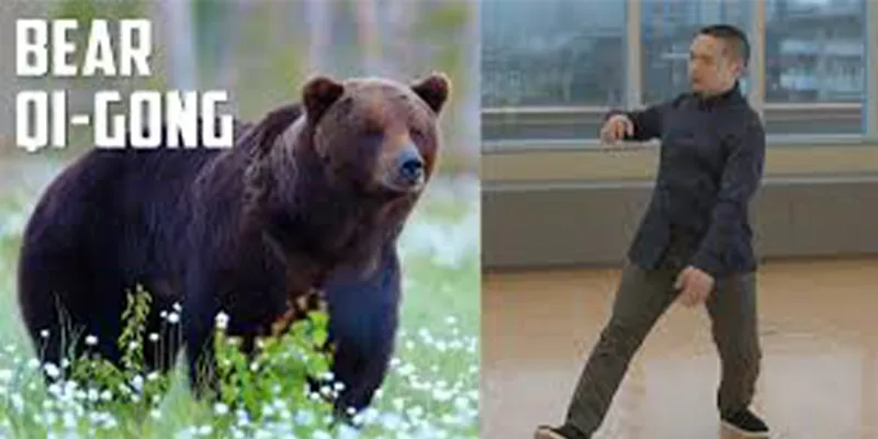 Bear Qigong