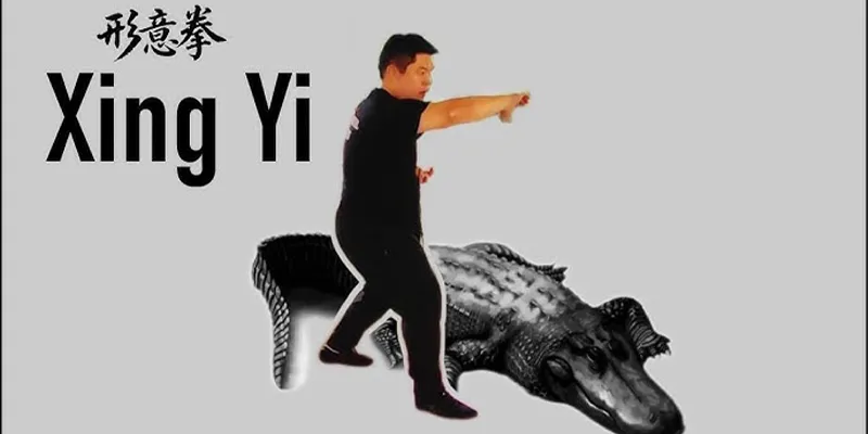 Benefits of Training Alligator Fight