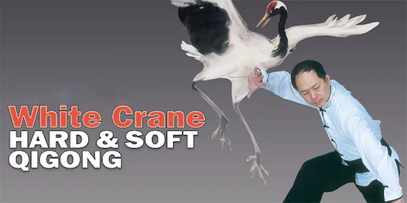 Crane Qigong