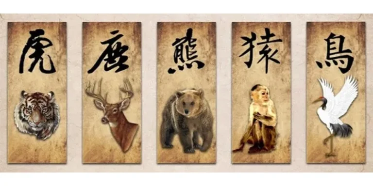 Five Animals Qigong Practicing Steps