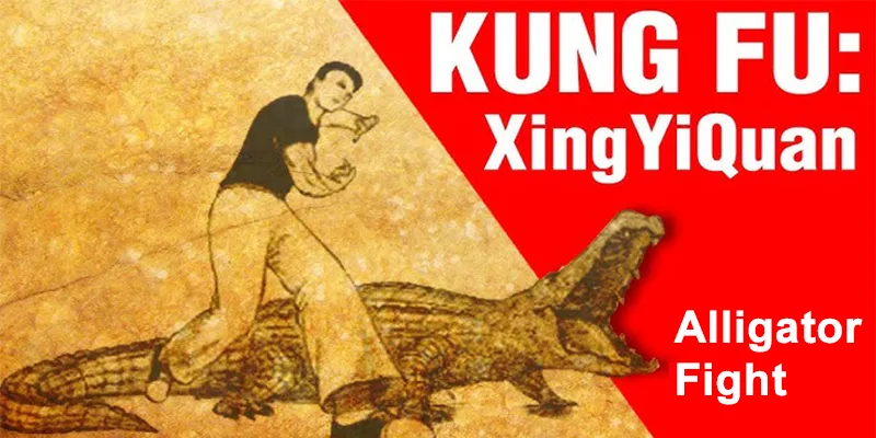 How Does The Alligator Fight In Xingyi?