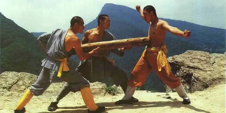 Iron Shirt (Tie Bu Shan Gong)