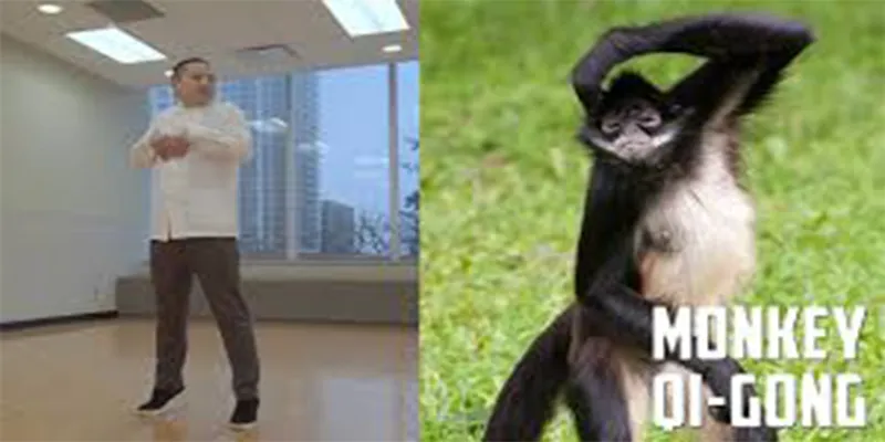 Monkey Qigong
