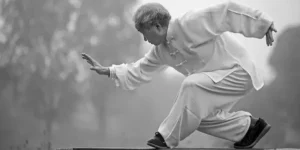 Movements of Dragon Fight in Xingyi