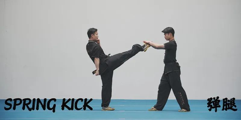 Tan Tui (Spring Kick)