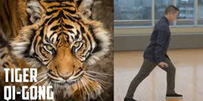 The First of Five Animals Qigong: Tiger