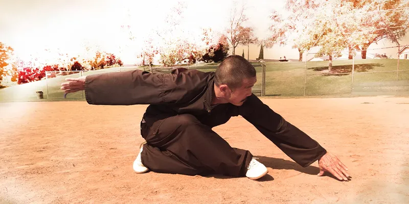 Xingyiquan Alligator Fight Combat Characteristics