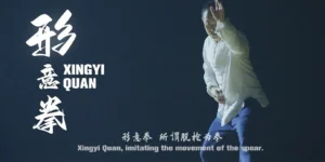 Xingyiquan History and Techniques