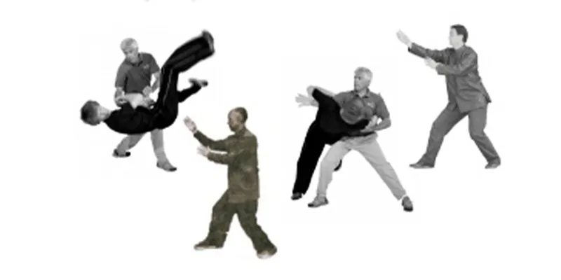 Xingyiquan Techniques: Five Elements