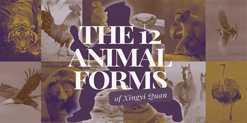 Xingyiquan Techniques The Twelve Animal Forms
